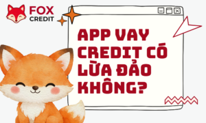 App Vay Credit Có Lừa Đảo Không? Bản Chất Và Cách Phòng Ngừa Rủi Ro