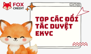 Top Các Đối Tác Tài Chính Duyệt eKYC Nhanh Nhất Hiện Nay