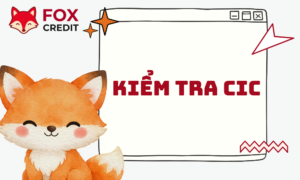 Kiểm Tra CIC Online Miễn Phí - Hướng Dẫn Chi Tiết