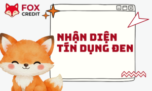 Nhận Diện Tín Dụng Đen Và Giải Pháp An Toàn Năm 2026
