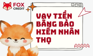 Vay Tiền Bằng Bảo Hiểm Nhân Thọ Tại FOX CREDIT Mới Nhất