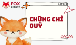 Chứng Chỉ Quỹ Là Gì? Cẩm Nang Cho Nhà Đầu Tư